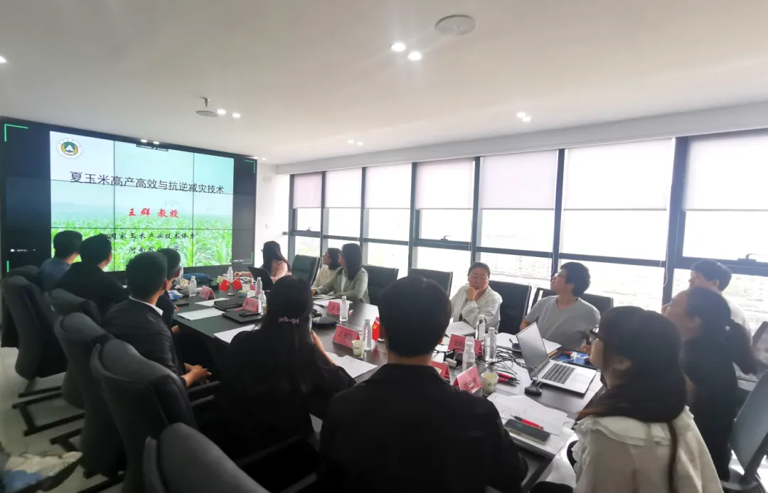 wƼ^Г(dn)ćc(din)аl(f)Ӌ(j)(xing)Ŀӑe